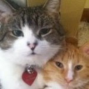 Meet your Posher, Erika